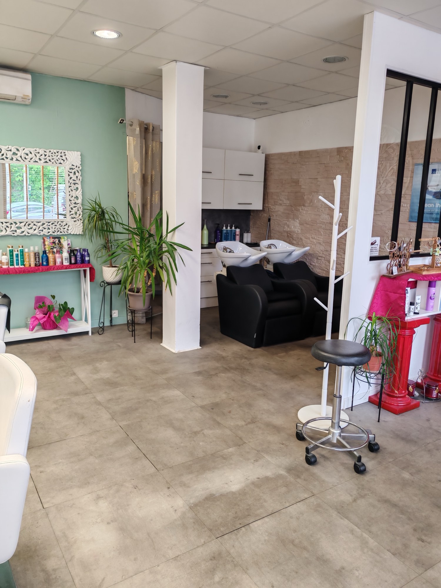 Coin shampoing, bac, plantes vertes et mur vert sauge